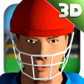 3D模拟板球 2.15 安卓版
