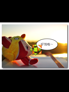 picsay pro中文版 1.6 安卓版
