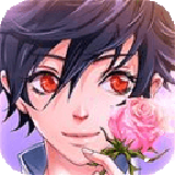 蔷薇梦想360版 1.0 安卓版