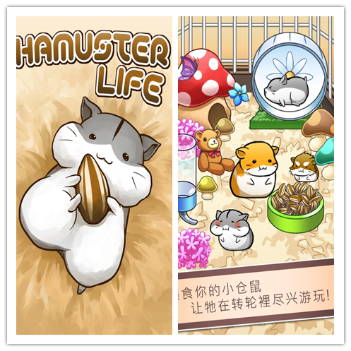 Hamster Life 3.6.7 安卓版