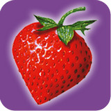 草莓网app 10.1 安卓版