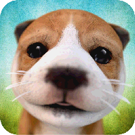 小狗模拟 2.2.2 安卓版