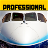 模拟飞行787专业版 1.6 安卓版