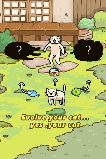 猫的进化世界