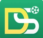 DS足球 4.9 安卓版