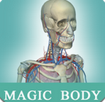 人体解剖学图集 2.5.0 安卓版