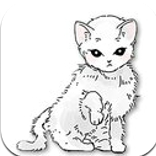 猫和纸箱 1.0.0 安卓版