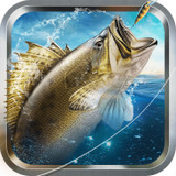 口袋钓鱼app 3.5 安卓版
