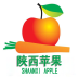 陕西苹果 5.0.0 安卓版