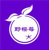 野樱莓 3.1.2.15 安卓版
