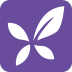 紫色丁香园 6.5 安卓版