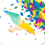 奇鸽app 2.06 安卓版
