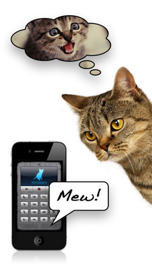 猫语翻译器-人猫交流