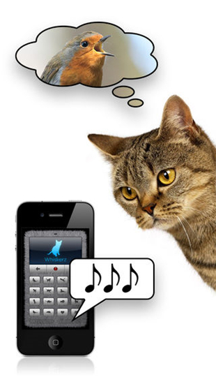 猫语翻译器-人猫交流