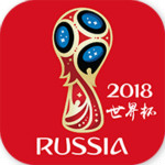 俄罗斯世界杯 1.0.1 安卓版