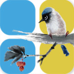 小鸟记账 4.8.0 安卓版