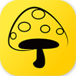 蘑菇丁 3.1.0 安卓版