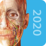 人体解剖学图谱 3.7.4 破解版