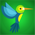 快乐鸟app 1.0.13 手机版