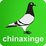 中国信鸽信息网下载手机版 20201018 安卓版