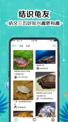 龟友宠物圈 3.0 安卓版